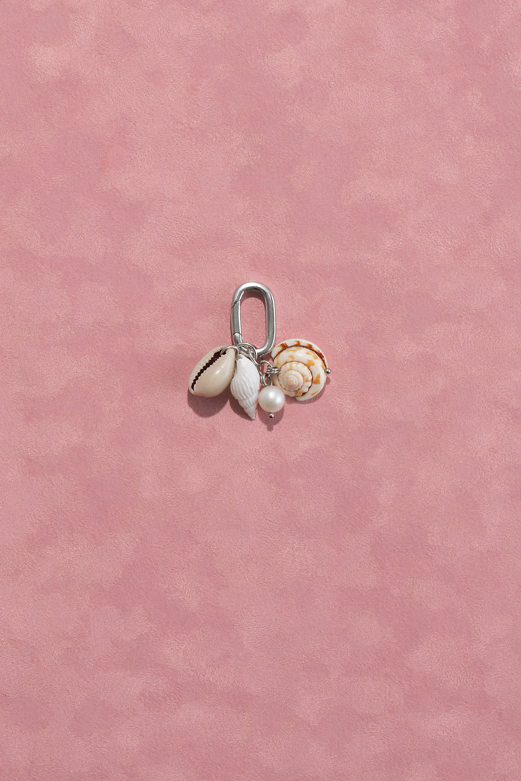 seashell