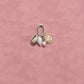 seashell