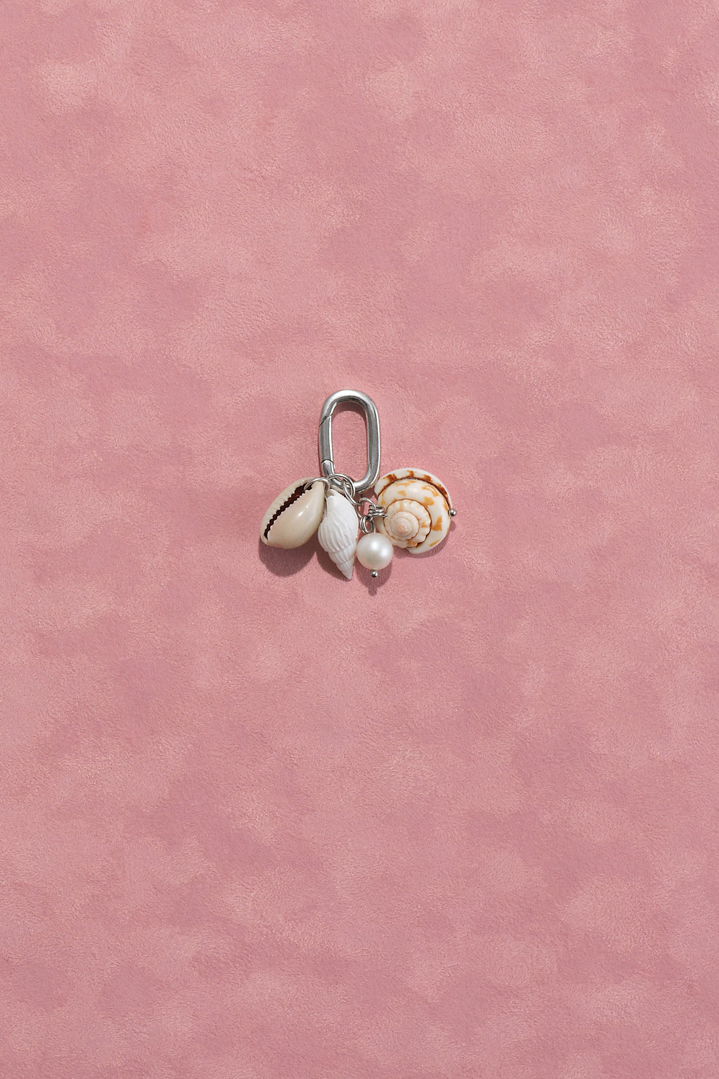 seashell